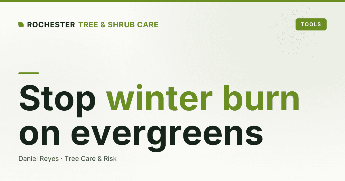 Anti-Desiccant Sprays for Evergreens: Do They Stop Winter Burn in Upstate NY?