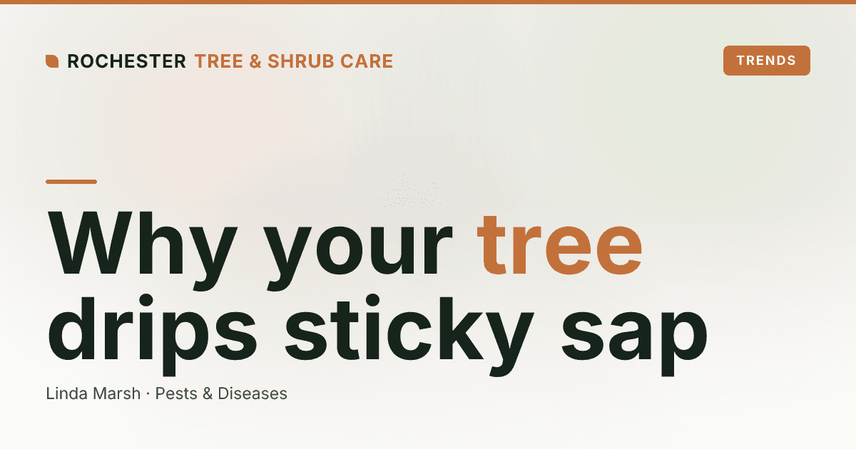 Aphids, Honeydew, and Sooty Mold: Why Your Rochester Tree Drips Sticky Sap and Turns Black
