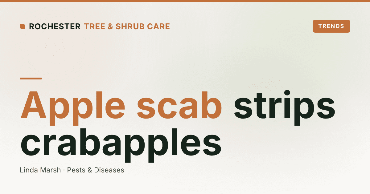 Apple Scab on Rochester Crabapples: Why the Leaves Drop by July and How to Stop It