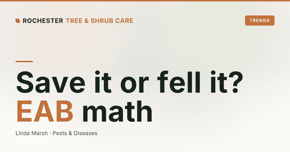 Is Your Ash Tree Worth Saving? Emerald Ash Borer Treat-vs-Remove Cost Decision in Rochester