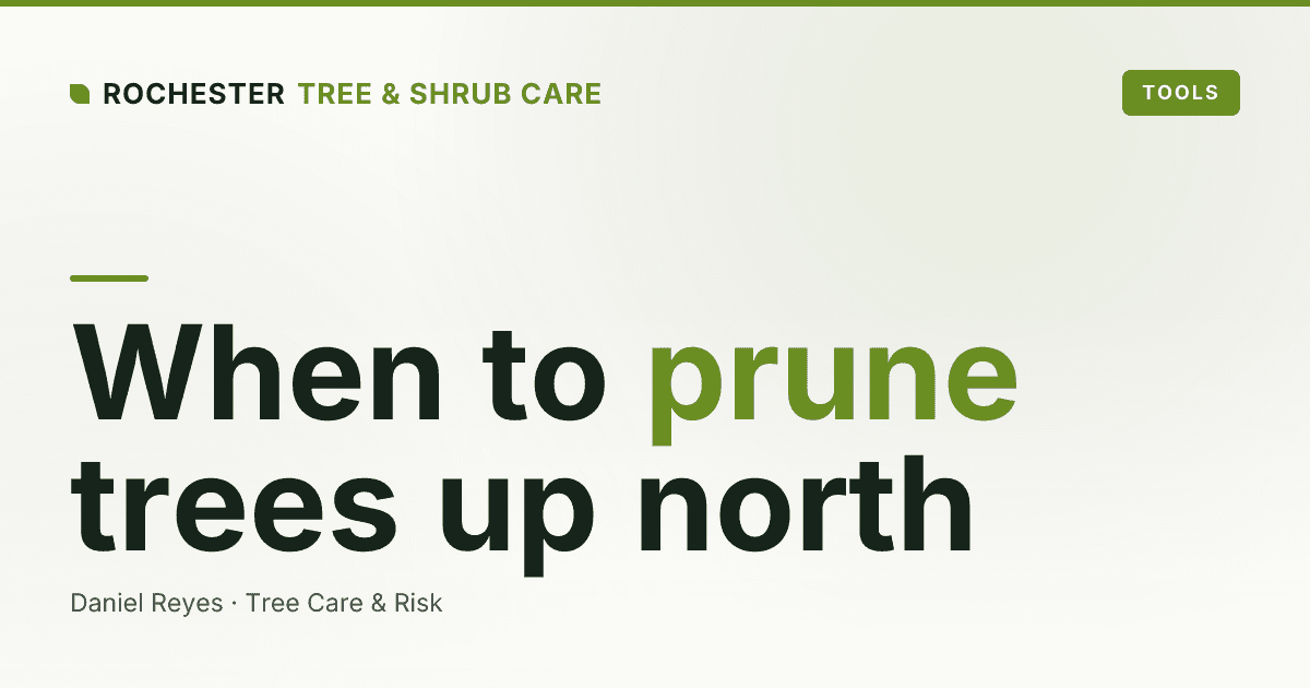 When Is the Best Time to Prune Trees in Upstate New York?
