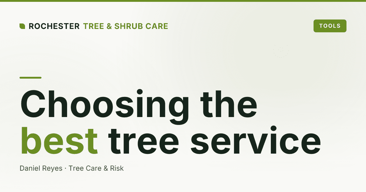 How to Choose the Best Tree Service in Rochester, NY