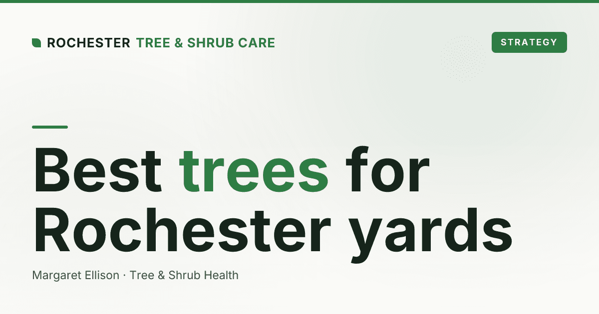 What Trees Grow Best in Rochester, NY (USDA Zone 5b-6a)?
