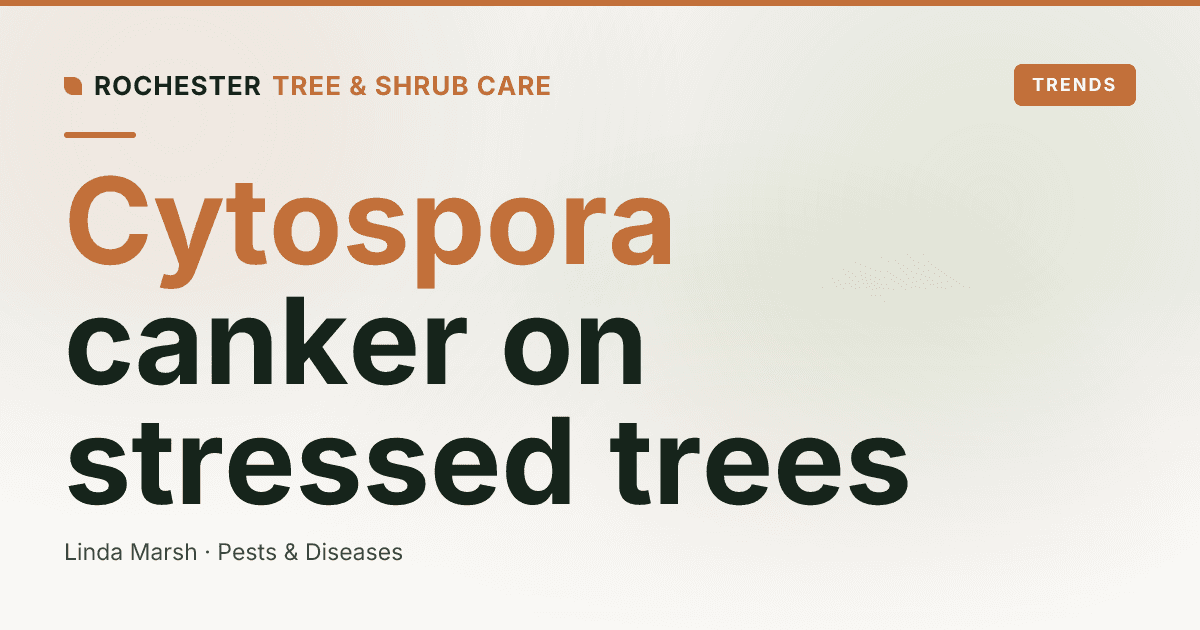 Cytospora and Nectria Cankers on Rochester Trees: Sunken Bark, Oozing Wounds, and Branch Dieback