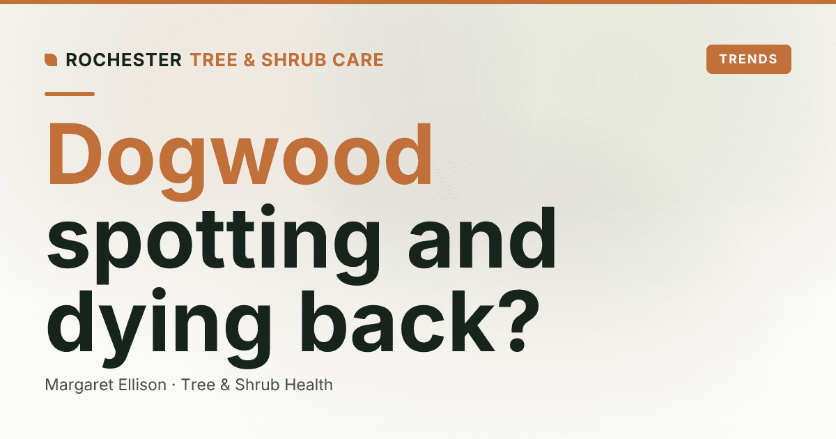 Dogwood Anthracnose in Rochester: Still Worth Knowing, Less Common Than It Was