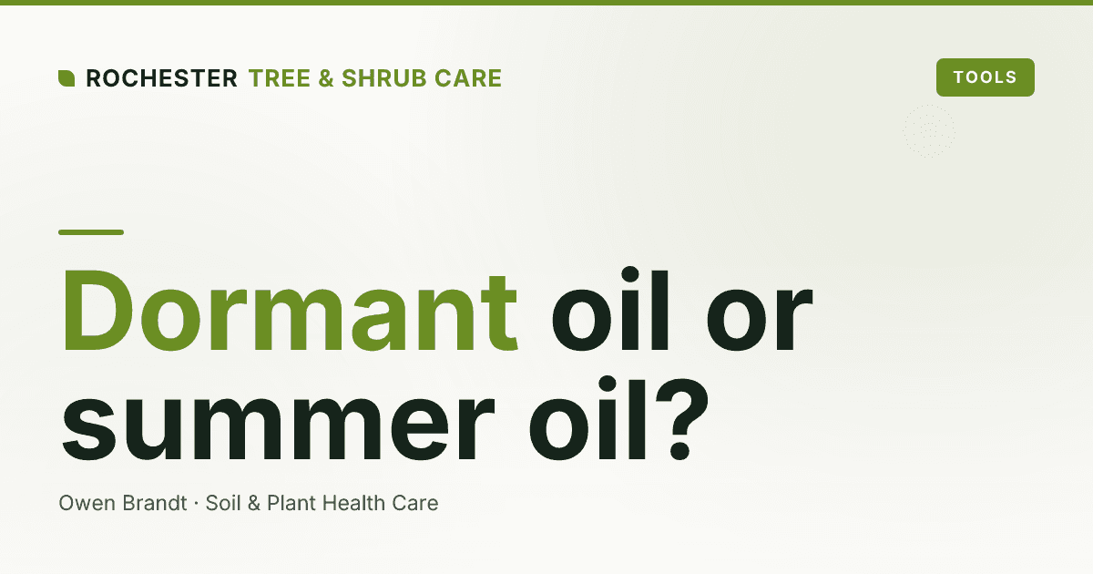 Dormant Oil vs Summer Horticultural Oil: Which Tree Pest Spray and When?