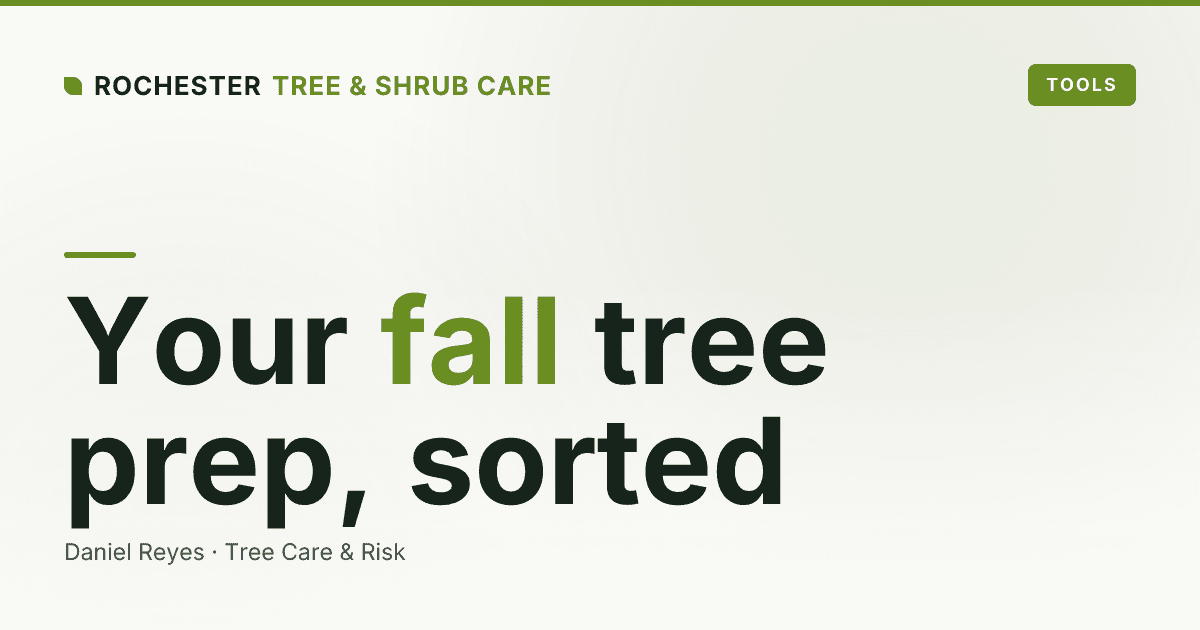 Fall Tree Care in Rochester: The Pre-Winter To-Do List