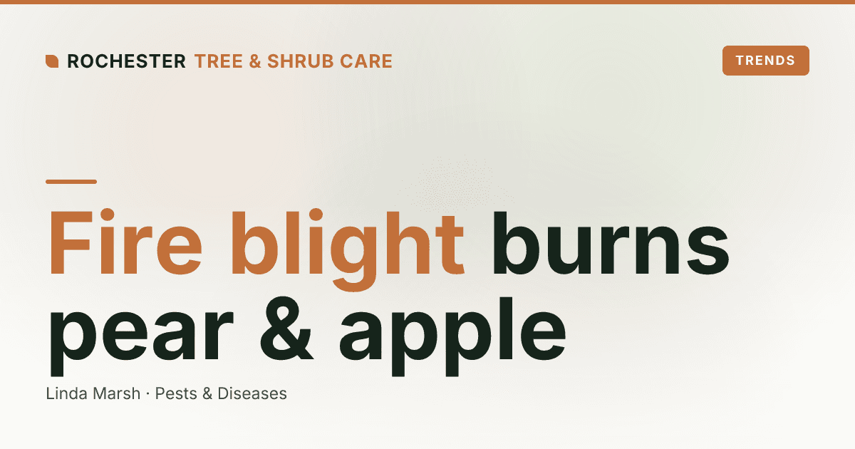 Fire Blight on Rochester Pears and Crabapples: The Shepherd's Crook Warning Sign