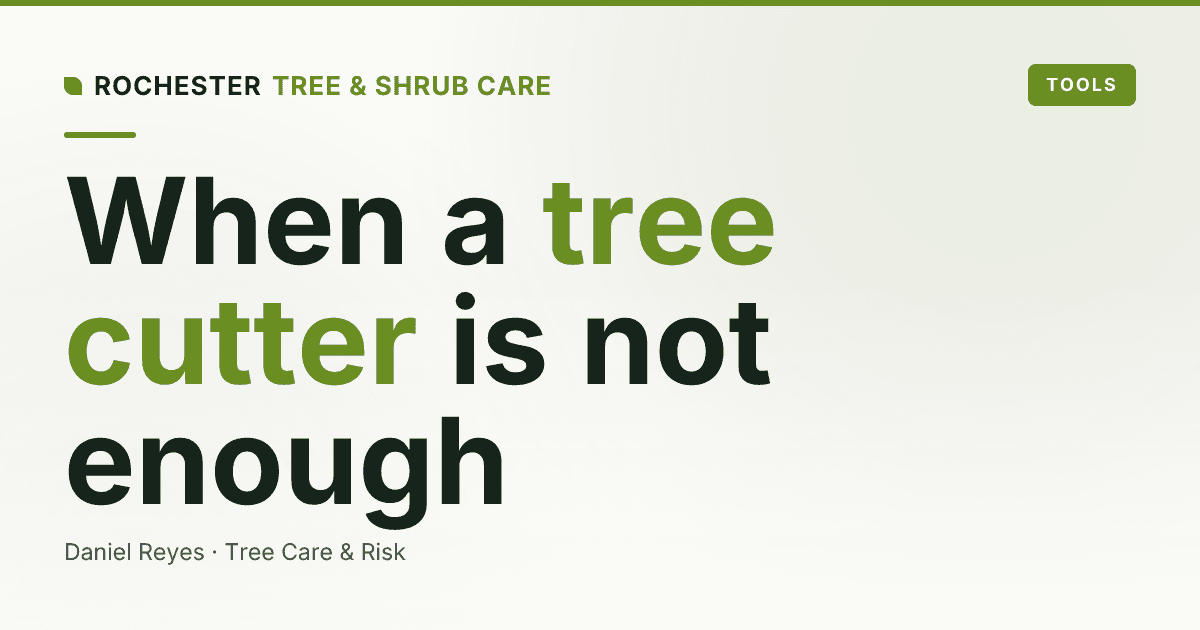 ISA Certified Arborist vs Tree Cutter: Why the Difference Matters in Rochester