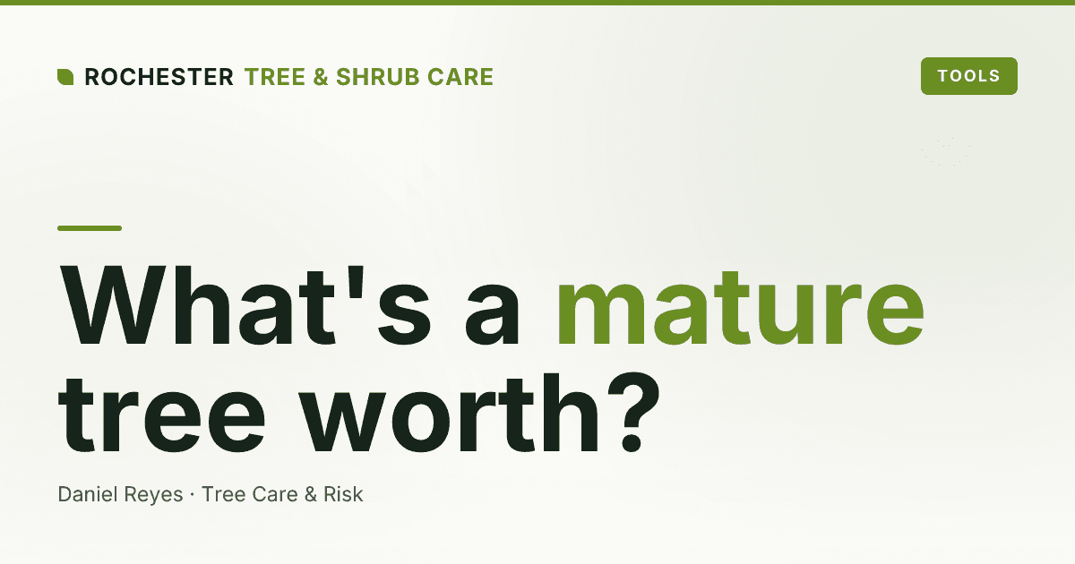What Is a Mature Tree Worth? Property Value and Tree Appraisal in Rochester