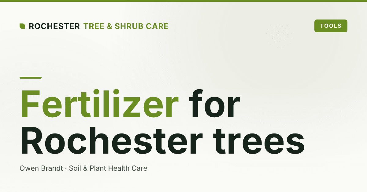 Organic vs Synthetic Tree Fertilizer: Which Is Better for Rochester Soils?