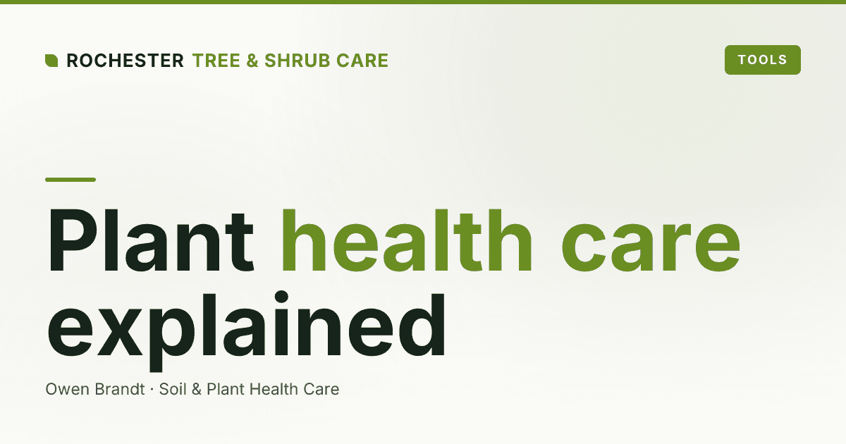 What Is Plant Health Care, and Does Your Landscape Need It?