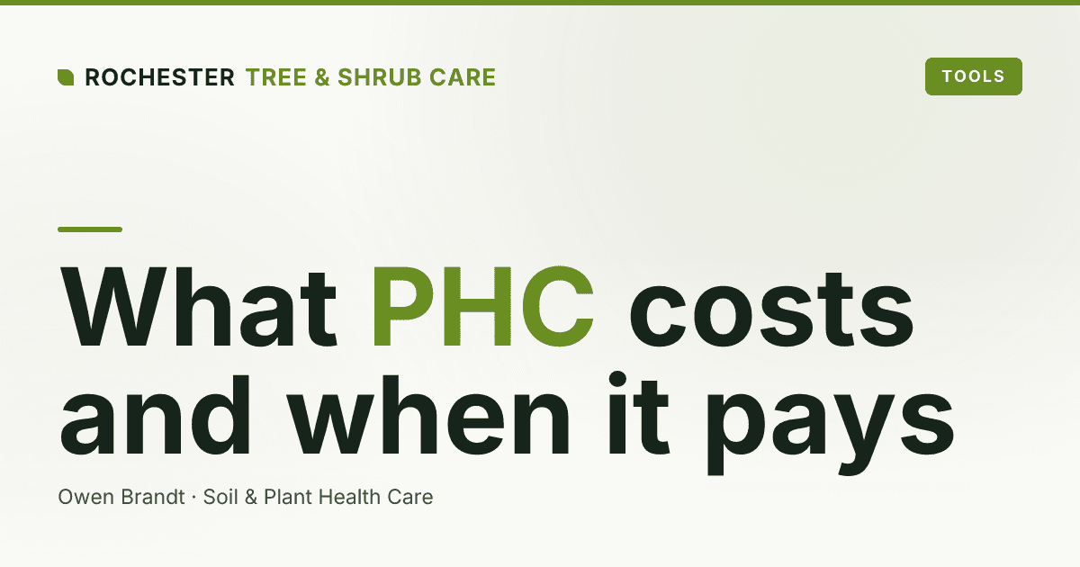 What Does a Plant Health Care Program Cost in Rochester, and Is It Worth It?