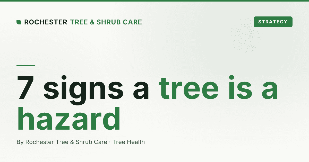 7 Signs a Tree Is a Hazard and Needs to Come Down (Rochester)