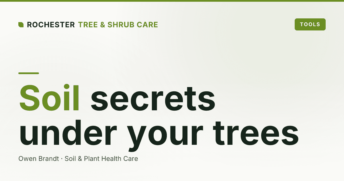 Soil Testing for Trees in Rochester: What to Test and How to Read Results