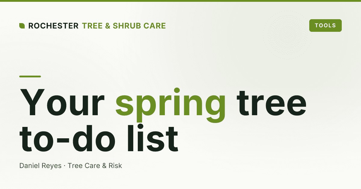 Spring Tree Care Checklist for Rochester, NY Yards