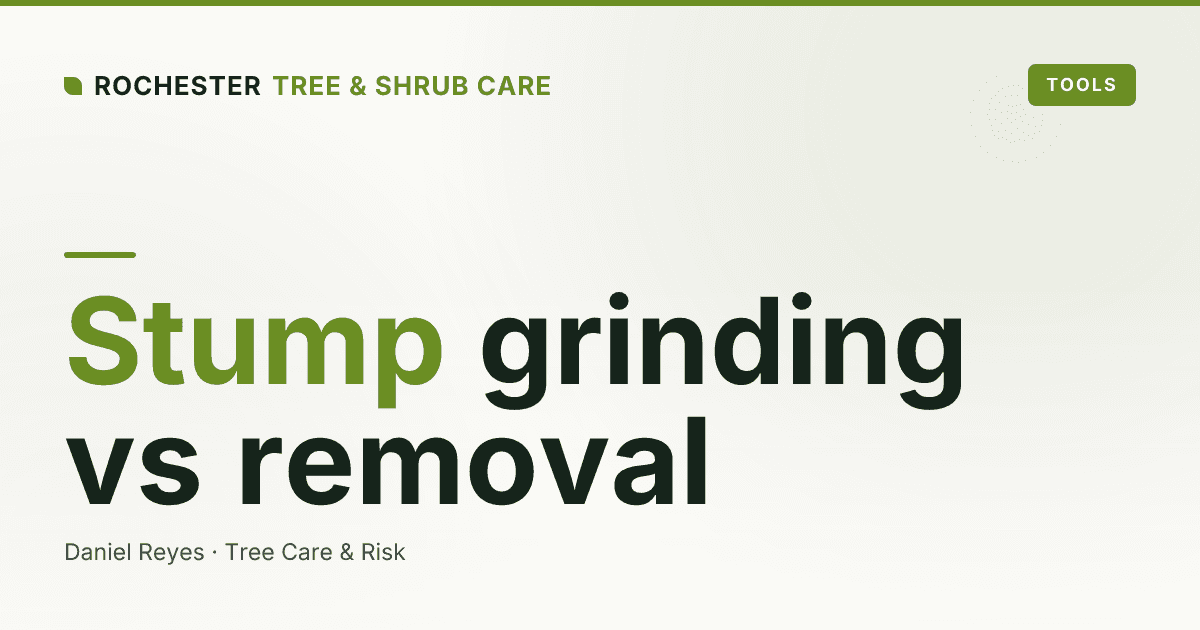 Stump Grinding vs Stump Removal: Cost and Differences in Monroe County