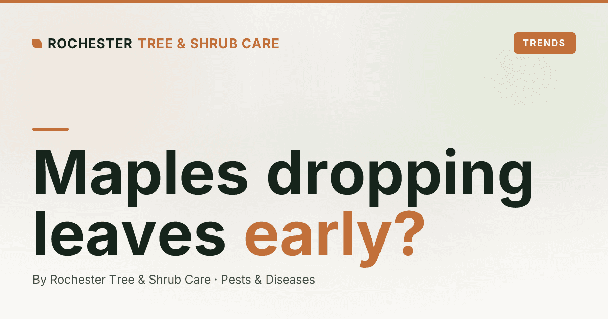 Why Are Rochester Maples Dropping Leaves Early? The 2026 Tar Spot Year