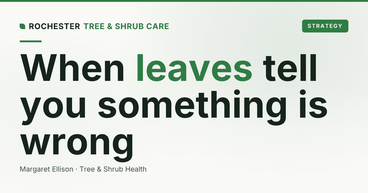 Why Are My Tree's Leaves Curling, Yellowing, or Dying?
