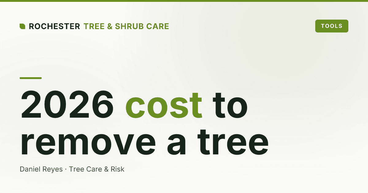 How Much Does Tree Removal Cost in Rochester, NY? A 2026 Price Guide