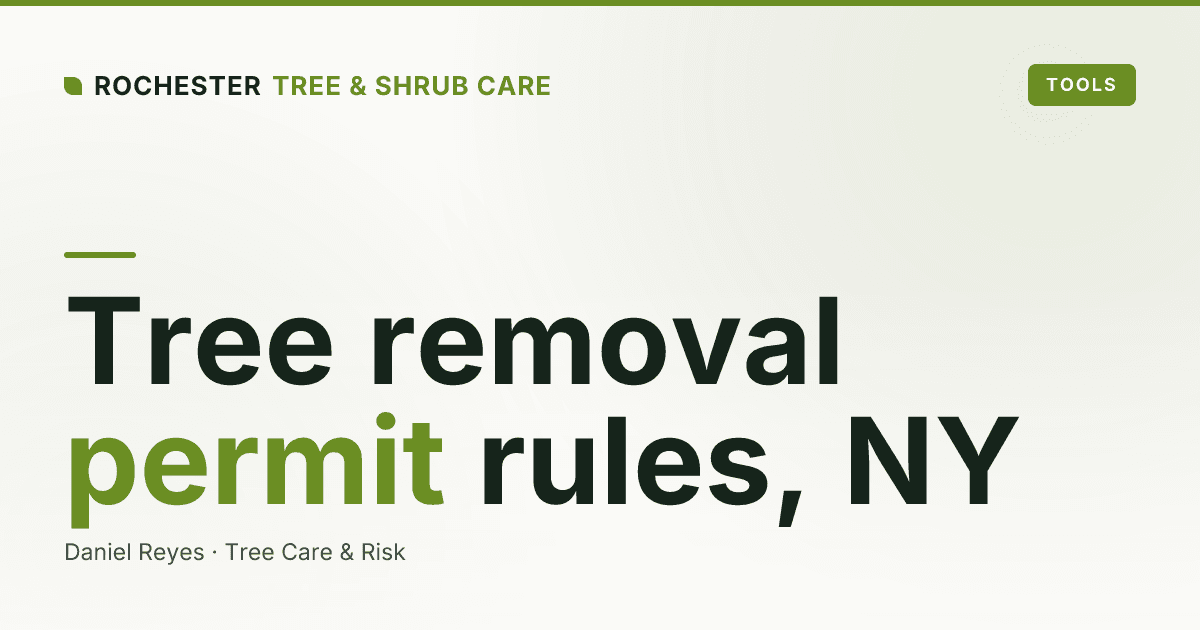 Do You Need a Permit to Remove a Tree in Monroe County, NY?