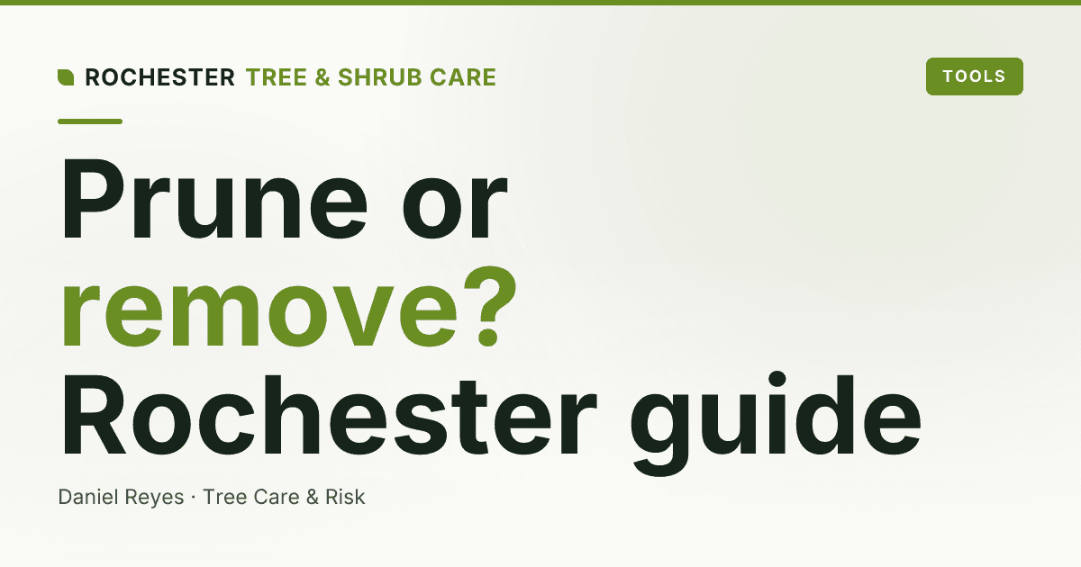 Tree Removal vs Tree Pruning: Which Does Your Rochester Tree Actually Need?