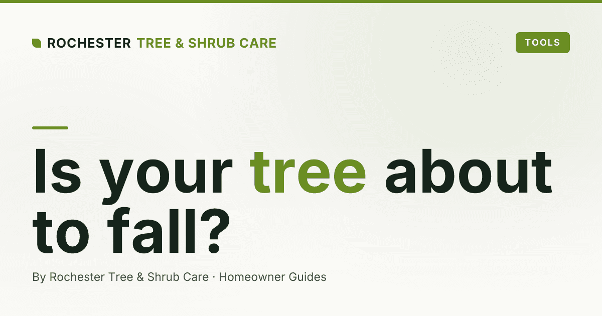What Is a Tree Risk Assessment, and When Do Rochester Homeowners Need One?