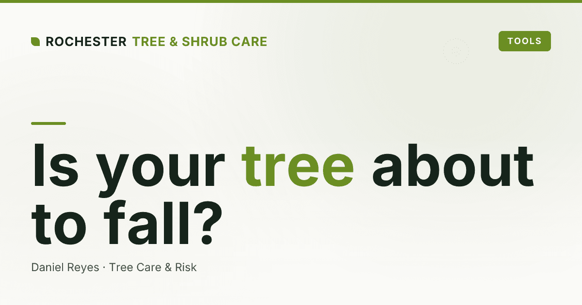 What Is a Tree Risk Assessment, and When Do Rochester Homeowners Need One?