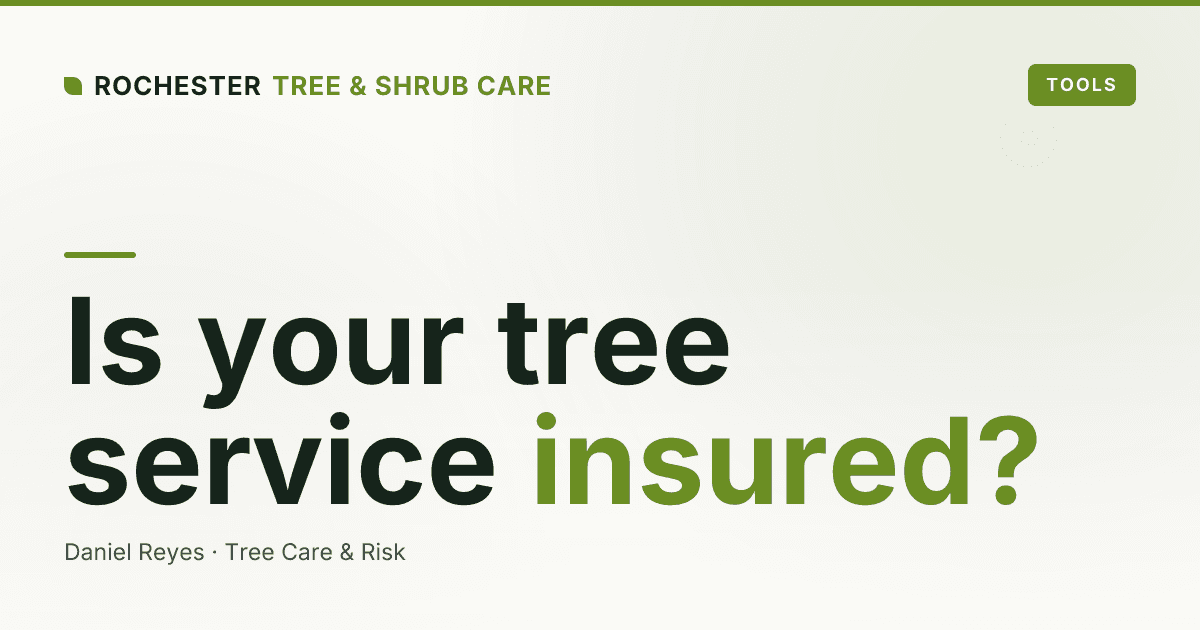 Is Your Tree Service Actually Insured? What Rochester Homeowners Must Verify