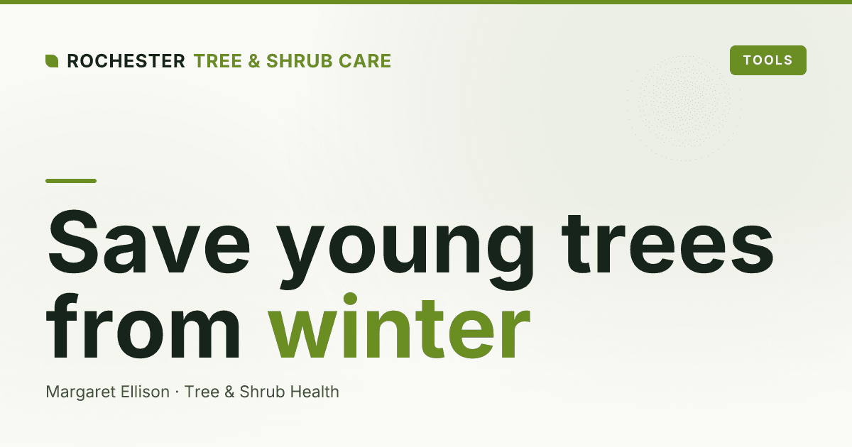 How to Protect Young Trees Through a Rochester Winter