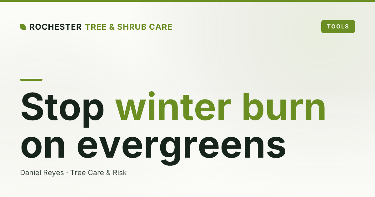 Anti-Desiccant Sprays for Evergreens: Do They Stop Winter Burn in Upstate NY?