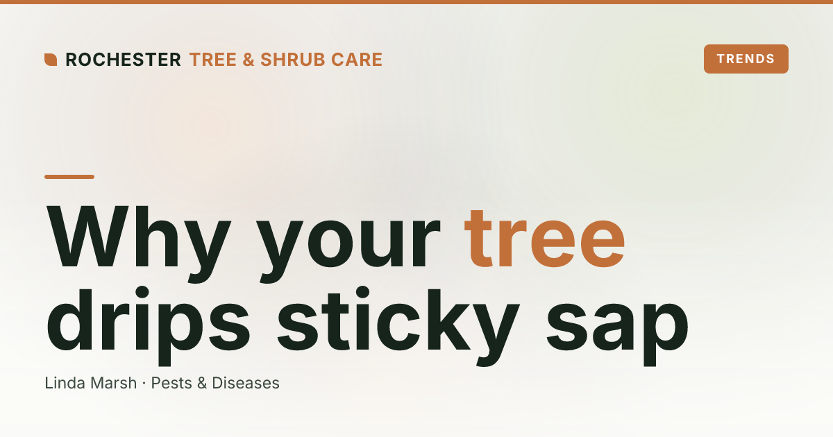Aphids, Honeydew, and Sooty Mold: Why Your Rochester Tree Drips Sticky Sap and Turns Black