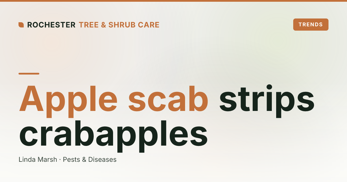 Apple Scab on Rochester Crabapples: Why the Leaves Drop by July and How to Stop It