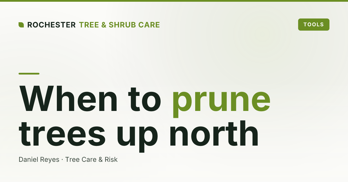 When Is the Best Time to Prune Trees in Upstate New York?