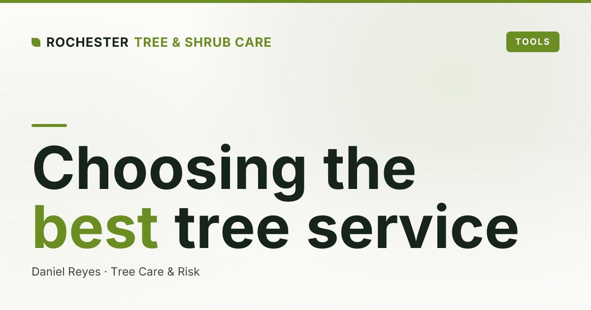 How to Choose the Best Tree Service in Rochester, NY