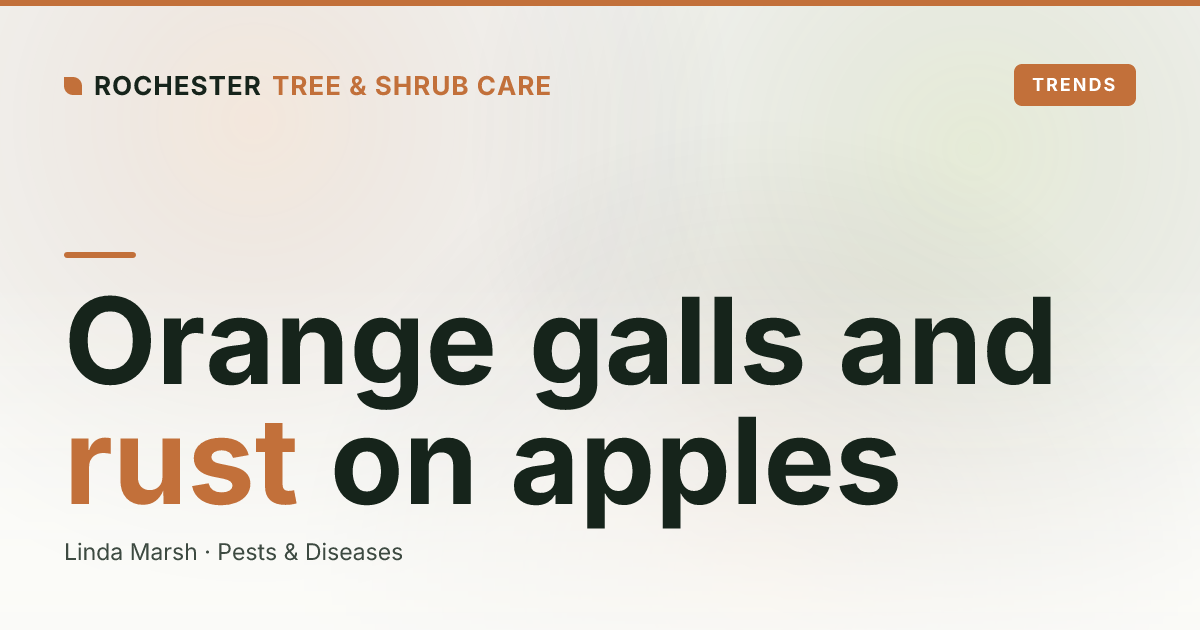 Orange Spots and Spiky Galls: Cedar-Apple Rust on Rochester Apples, Crabapples, and Junipers