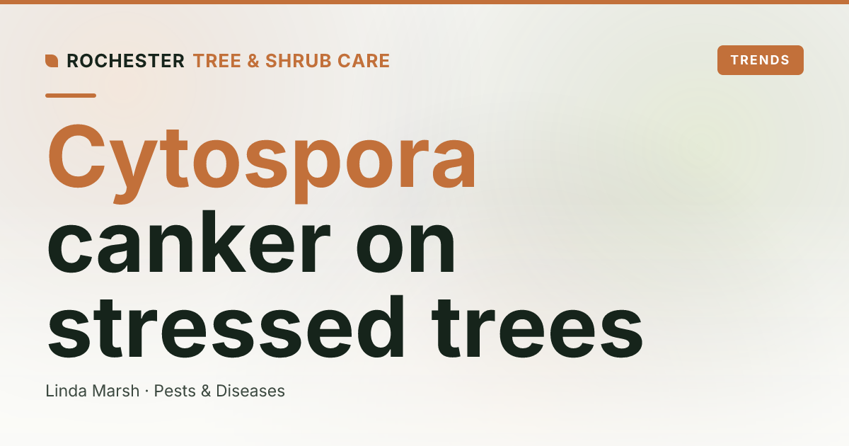 Cytospora and Nectria Cankers on Rochester Trees: Sunken Bark, Oozing Wounds, and Branch Dieback