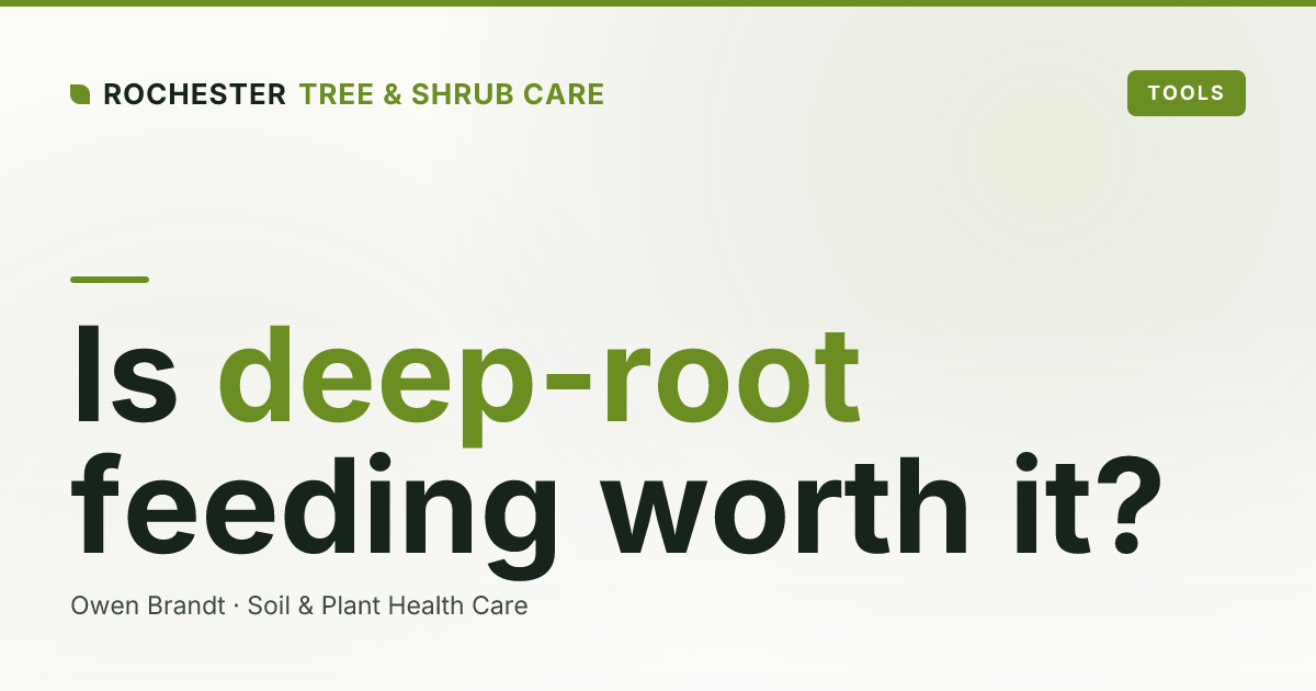Deep Root Fertilization in Rochester: Does It Work, or Is It Just Upsold?