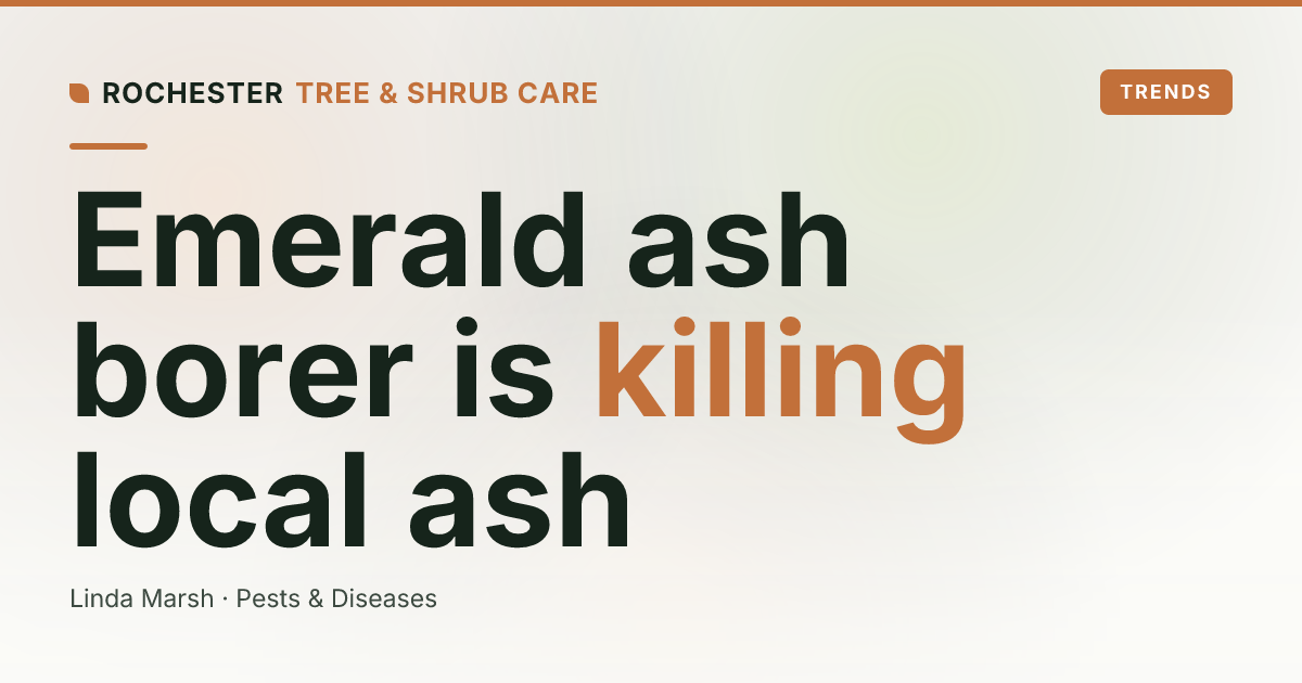 Emerald Ash Borer in Monroe County: How to Spot and Stop It