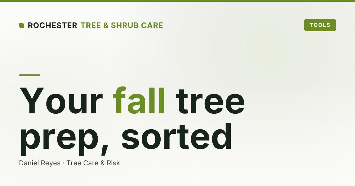 Fall Tree Care in Rochester: The Pre-Winter To-Do List