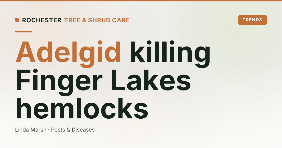 Hemlock Woolly Adelgid in the Finger Lakes: Saving Your Eastern Hemlocks