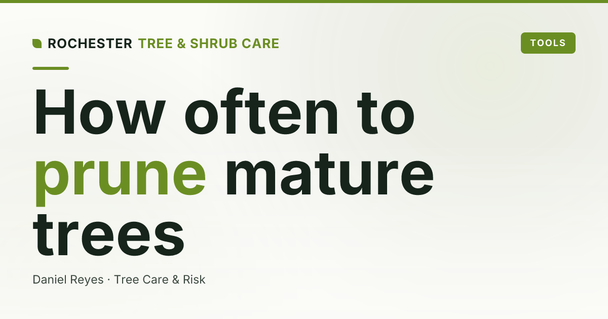 How Often Should You Prune a Mature Tree in New York? A Rochester Guide
