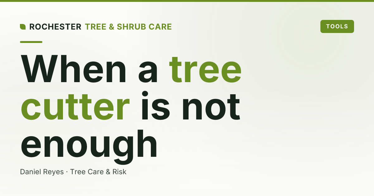 ISA Certified Arborist vs Tree Cutter: Why the Difference Matters in Rochester