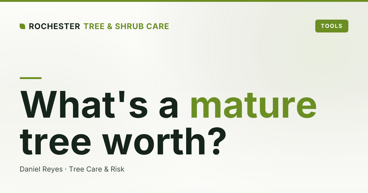 What Is a Mature Tree Worth? Property Value and Tree Appraisal in Rochester
