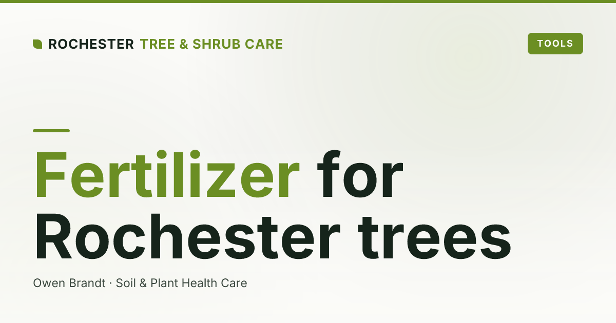 Organic vs Synthetic Tree Fertilizer: Which Is Better for Rochester Soils?