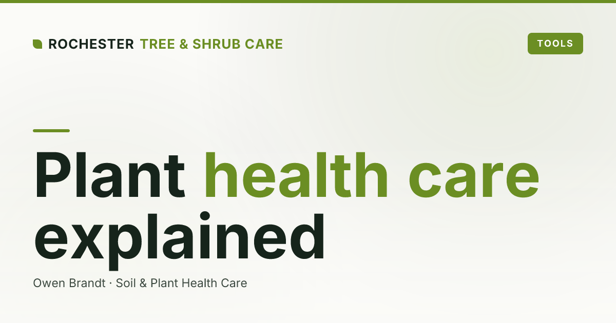 What Is Plant Health Care, and Does Your Landscape Need It?