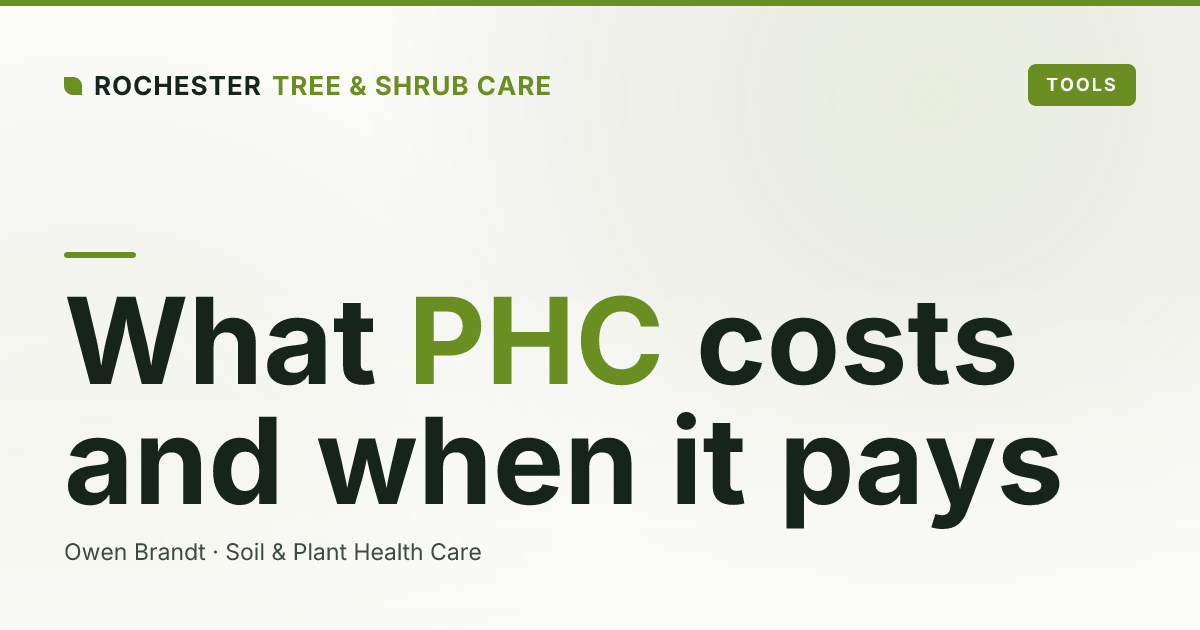 What Does a Plant Health Care Program Cost in Rochester, and Is It Worth It?