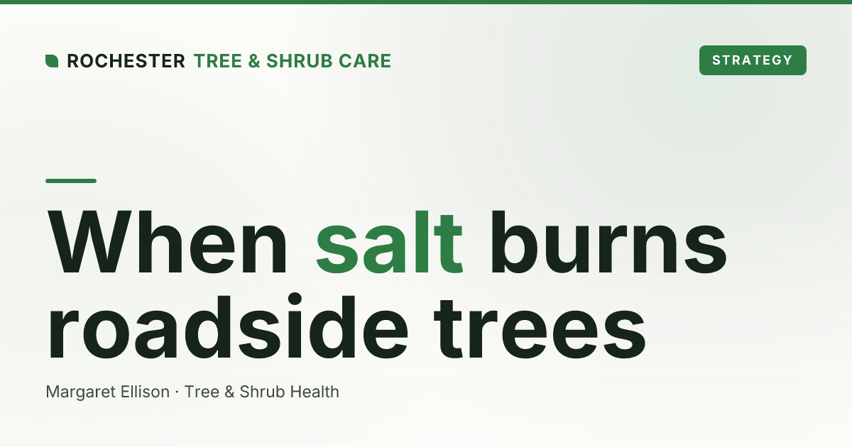 Salt Damage to Trees and Shrubs From Winter Roads: A Rochester Guide