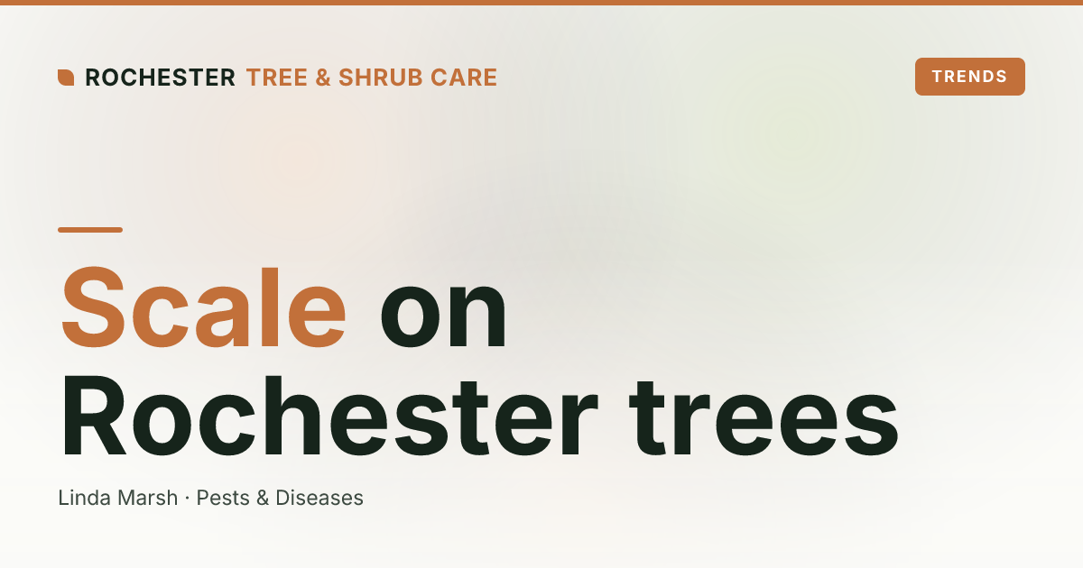Soft Scale on Rochester Trees: White Bumps, Black Mold, and Sticky Leaves on Magnolia, Maple, and Oak