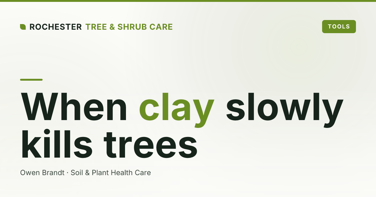 Soil Compaction and Tree Decline in Rochester: The Hidden Cause of Slow Death in Clay Yards